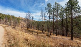 0 Cougar Cir Ct, Bellvue, CO 80512