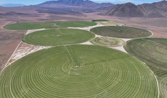 51955 Wilder Creek Rd, Denio, NV 89404