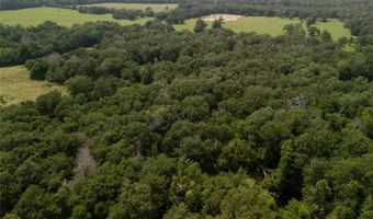 9 2 Acres CR 471, Teague, TX 75860