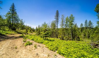 1140 Salee Creek Rd, Bayview, ID 83803