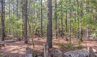 414041 E 1878 Rd, Antlers, OK 74523