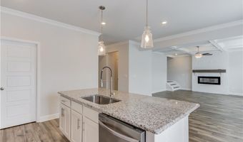 4029 Brookmont Way, Auburn, GA 30011