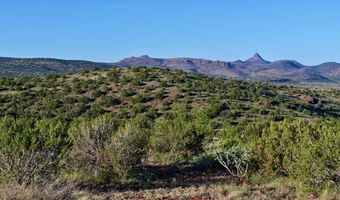 TR 57R Sierra La Rana, Alpine, TX 79830