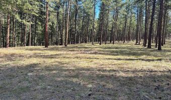 31760 HWY 10 W, Alberton, MT 59820