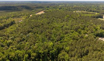 337 Weathers Farm Rd, Bowman, SC 29018