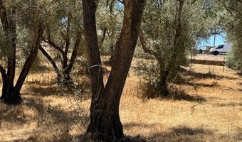 2804 S Grade Rd, Alpine, CA 91901