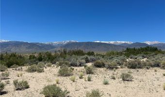 360 MOUNTAIN CREEK Rd, Dyer, NV 89010
