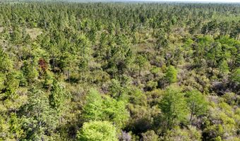 NW Miller Road, Altha, FL 32421