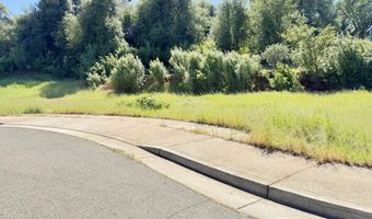0 34- Acre Yellow Finch Way, Anderson, CA 96007