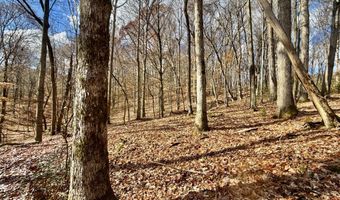 1520 Brittontown Rd, Afton, TN 37616