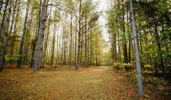 971 Somerset Rd SE, Bogue Chitto, MS 39629