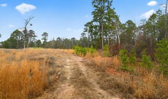 868 County Road 2920, Alba, TX 75410