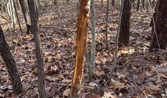 0 Scott Rd, Alexander City, AL 35010