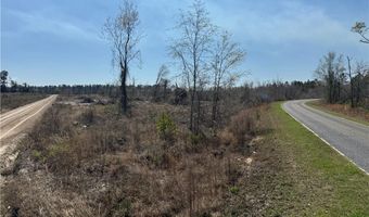 0 35.01 Acres Bacon School Rd, Alma, GA 31510
