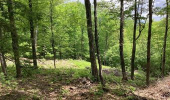 Lot 1 Pegwood Road, Campton, NH 03223
