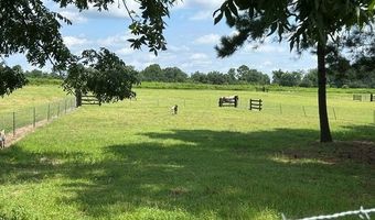 944 Salem Rd, Abbeville, GA 31001
