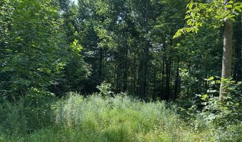 0 Mountain Springs Rd, Alum Bank, PA 15521