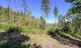 2008 SUMMIT VALLEY Rd Lot F, Addy, WA 99101