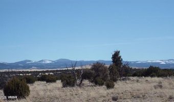 Parcel 107-52-046, Concho, AZ 85924