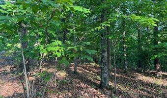 0 DAVIS ACRES Dr 72 & 73, Alpine, AL 35014