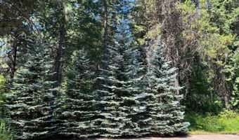 927 Bear Claw Rd, Clark Fork, ID 83811