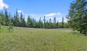 Nna Mesa Drive, Careywood, ID 83809