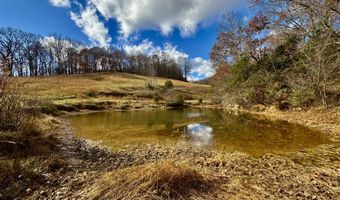 1520 Brittontown Rd, Afton, TN 37616
