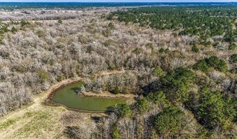 5280 Whitaker Way, Anderson, TX 77830
