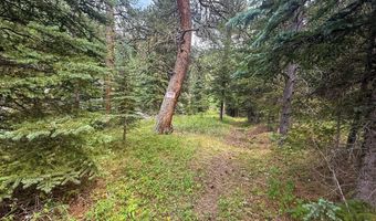 County Road 59, Allenspark, CO 80510