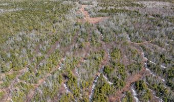 68 Tower Rd, Argyle Twp., ME 04468