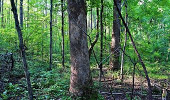 RICHARD ALLEN Street, Aquasco, MD 20608