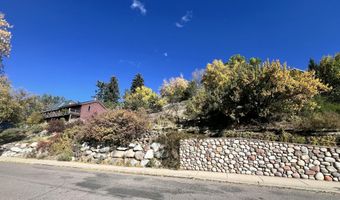216 E Homestead Dr, Basalt, CO 81621