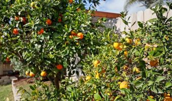 5351 Rio Plata Dr, Oceanside, CA 92057