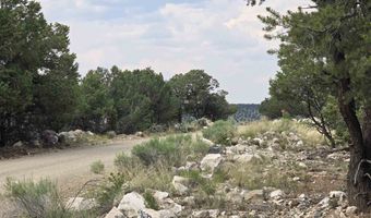 Lobo Ranch Road, Arroyo Hondo, NM 87513