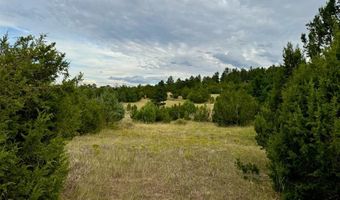 Par 18 Old Homestead Ln, Beulah, CO 81023