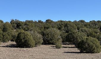 N8716, Concho, AZ 85924