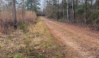 Jack Road, Braxton, MS 39044