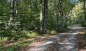 9822 Culver Brook Rd, Alder Creek, NY 13309