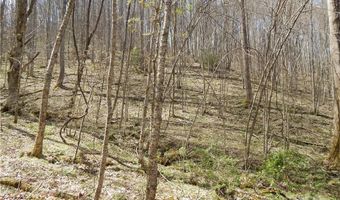 Gentry Farm Road, Aurora, NC 28743