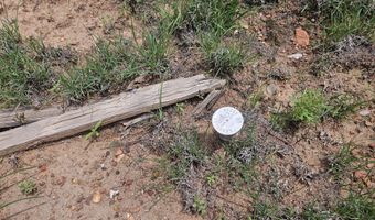 Birdwing Lane, Clay Springs, AZ 85923