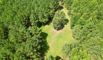 County Road 127, Banks, AL 36005