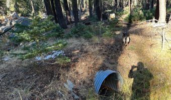 550 Cabbage Patch Log Rd, South Lake Tahoe, CA 95223