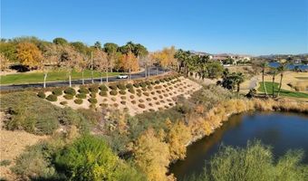 29 Montelago Blvd 336, Henderson, NV 89011