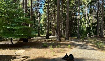 1428 Meadow Dr, Arnold, CA 95223