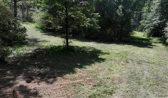 8501 Lawsontown Rd, Adger, AL 35444