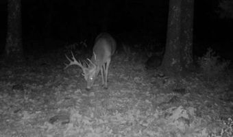 1900 Nelson, Antlers, OK 74525