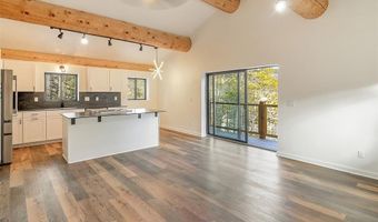 148 N Aspen St, Alma, CO 80420
