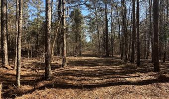 Lot 37 PETERSBURG Trace, Lincolnton, GA 30817