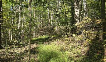 HURT HOLLOW RD, Banco, VA 22711