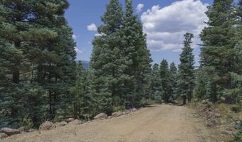 9 Buckskin Rd, Angel Fire, NM 87710